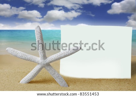 shells with sand and pape
