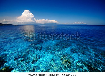 Blue shallow sea with coral reef and fluffy clouds on the horizon
