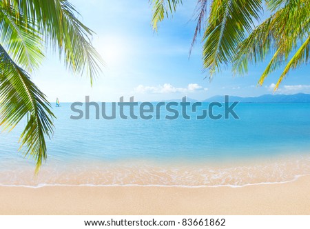 beautiful tropical beach Royalty-Free Stock Photo #83661862