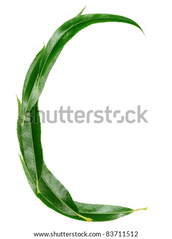 Alphabet from the leaves of willow. Letter "C"