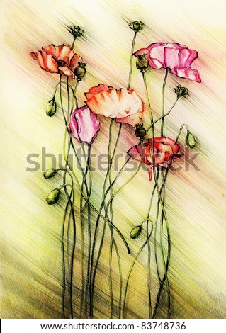 red poppies  Indian ink and  colored pencil drawing