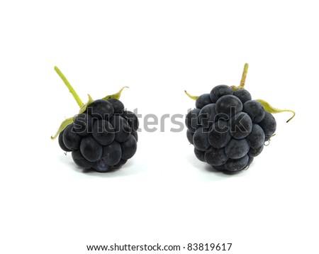 Blackberry with green leaf on a white background