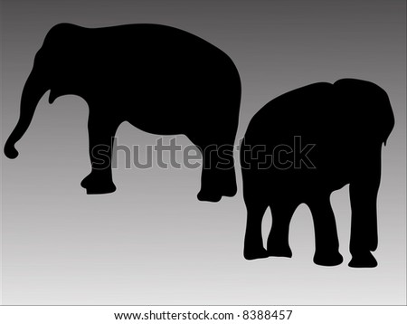 Silhouette of two elephants