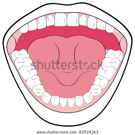 Opened Mouth Showing the Teeth, Tongue, Tonsils - Can be useful in Schools & Clinics - You can write Types of Teeth & parts of Mouth - Simple & Attractive