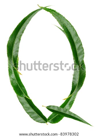 Alphabet from the leaves of willow. Letter "Q"