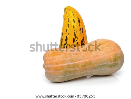 Two pumpkins on a white background