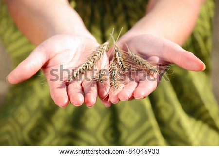 A picture of a handful of crop over green background