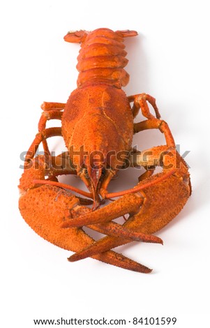 crayfish Royalty-Free Stock Photo #84101599