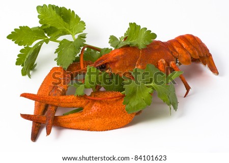 crayfish 2 Royalty-Free Stock Photo #84101623