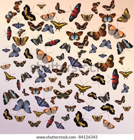 Butterfly background with butterflies in various shapes and sizes