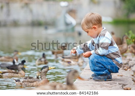 Cute little boy feeding ducks in the pond in a city park. Germany Royalty-Free Stock Photo #84142186