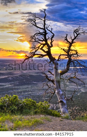 HDR image of dead tree against dramatic stormy sky taken in Mesa Verde National Park in Colorado