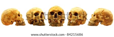 Real human skull isolated on white background, multi photograph with improved yellow colour, different angles and profile
