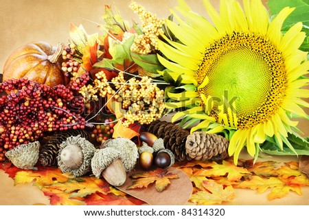 Autumn decorations and flowers with pumpkins, acorns and leaves.