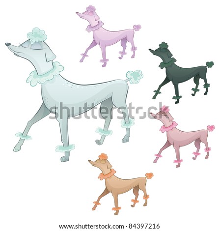 Vector ridged poodle dog cartoon character. Collection in five different colors.