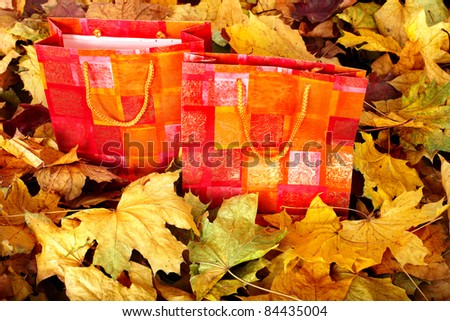 Group of shopping bag in fall foliage. Autumn holiday.