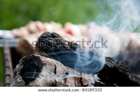 White smoke rises over the bonfire on kebab background