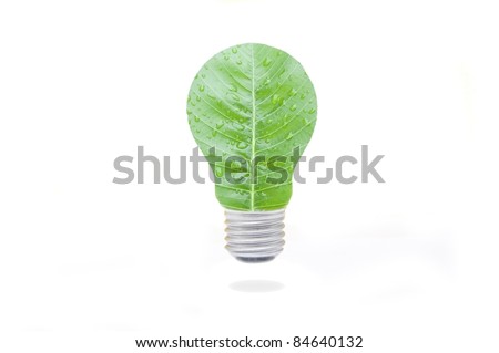 green leaf lamp in white isolate background