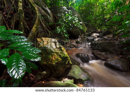 waterfall in rain forest in asia forest.
