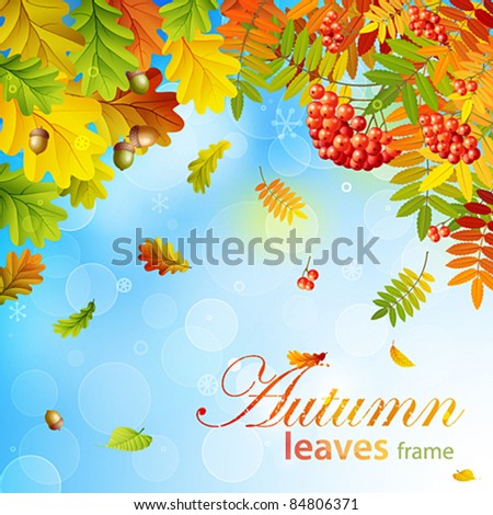 Autumn background with colorful leaves on sky background. Vector illustration. Check my portfolio for raster version.