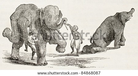 Elephants dance training. By unidentified author, published on Le Tour du Monde, Paris, 1860