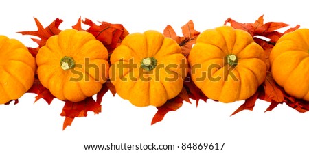Border element or centerpiece made of fall leaves and small pumpkins isolated on white