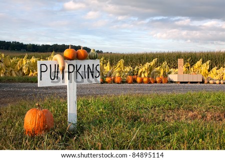 Pumpkins for sale along a rural road in Lancaster County,Pennsylvania