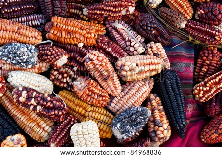 Several traditional varieties of corn in a Peru marketplace in the Urubamba Valley. Royalty-Free Stock Photo #84968836