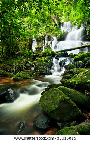 streaming waterfall in national park. small waterfall in Thailand. deep forest brook has green jungle from big tree.The forest protected by forester all time. rainforest cover by bright green moss.