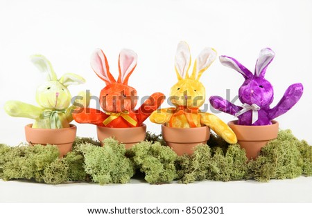 Easter Garden: Colorful bunnies sprout from terra-cotta pots in green moss against a white background. Easter/spring concept.