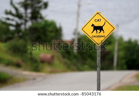 A cat crossing sign in Woody Point, Newfoundland, Canada.