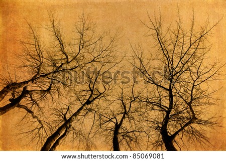 grunge textured picture of four skeletal trees