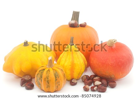 the chestnuts and pumpkins isolated on white
