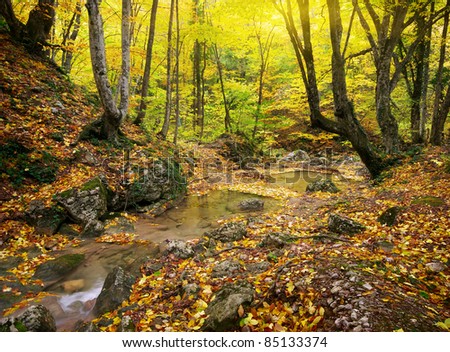 Autumn landscape. Composition of nature.
