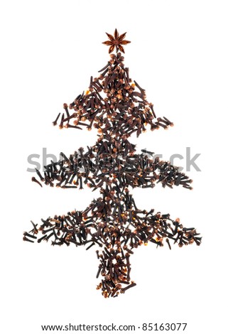 Cloves and star anise on a white background