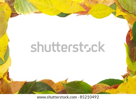frame from fallen down leaves