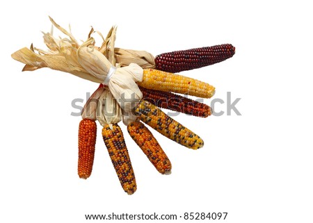 Bundle of Indian corns isolated on white background Royalty-Free Stock Photo #85284097