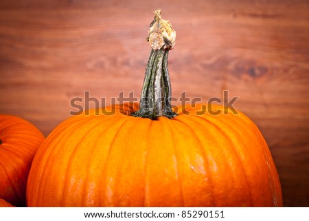 Ripe pumpkin fruits on wooden background