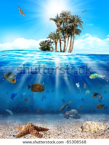 Underwater scene with fishes and seashell