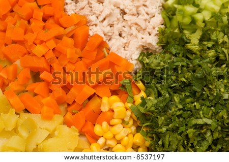 Various colourful ingridients prepared for salad