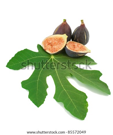 Ripe fresh purple fig fruits  and leaf on white background