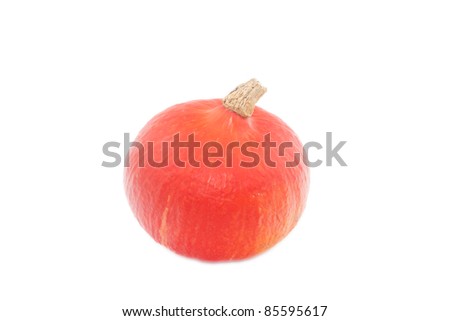 one decorative hokkaido pumpkin against white background