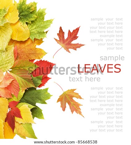 Yellow, red and green autumn leaves background with sample text