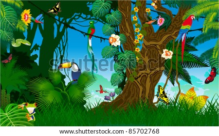 Vector Jungle with Frog, Toucan, quetzal, humming-birds, butterflies , Ara and Green Snake Royalty-Free Stock Photo #85702768