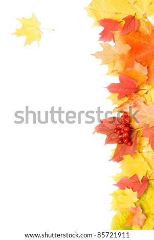 Autumn leaves frame, isolated on white.