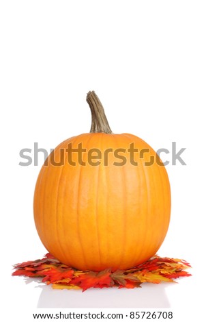 pumpkin on fall leaves