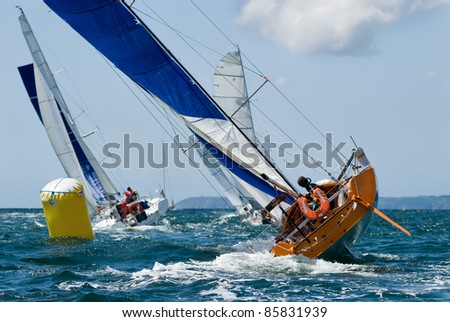group of yacht at race regatta with skipper Royalty-Free Stock Photo #85831939