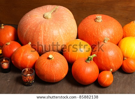 Various orange pumpkins. Autumn composition