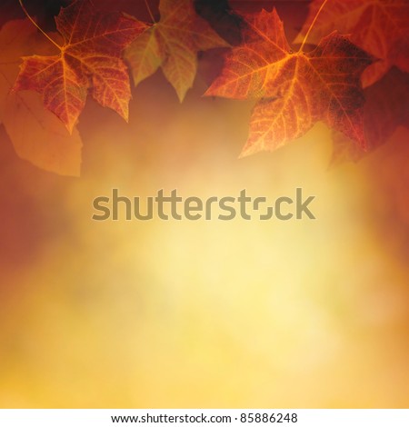 Autumn design background with colorful red and yellow leaves falling from the tree