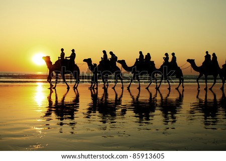 Camel ride in cable beach, broome, australia. Royalty-Free Stock Photo #85913605